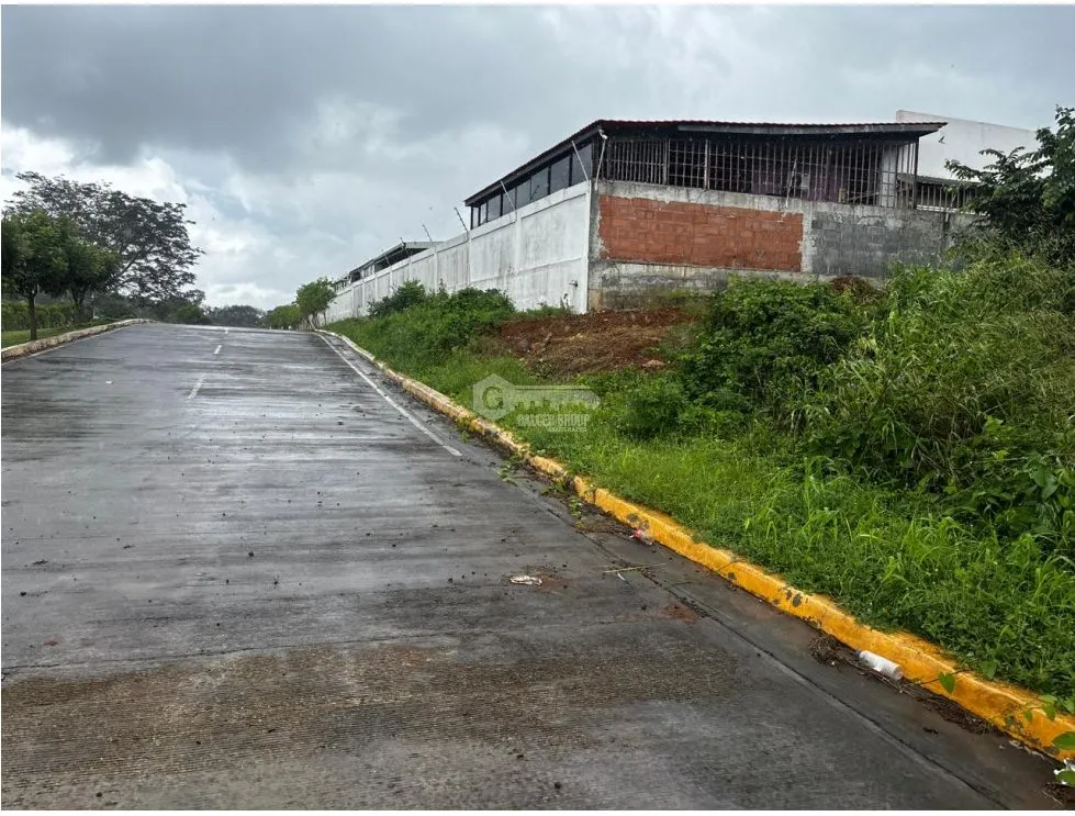 VÍA PUERTO CAIMITO / CHORRERA / 54000M / PARA DESARROLLO INMOBILIARIO