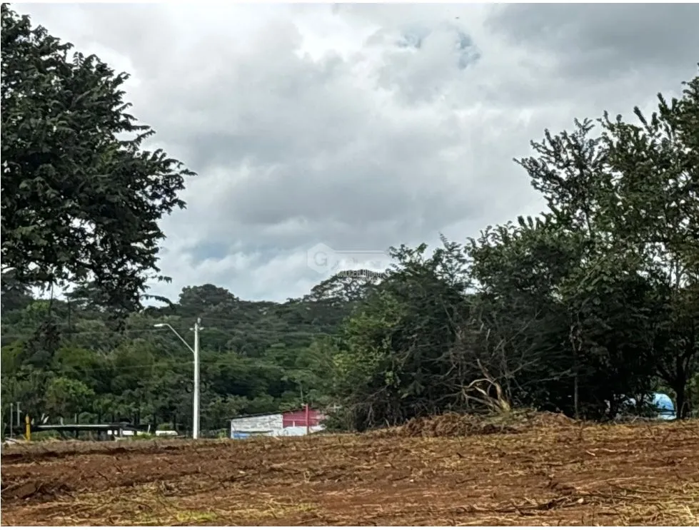 VÍA PUERTO CAIMITO / CHORRERA / 54000M / PARA DESARROLLO INMOBILIARIO