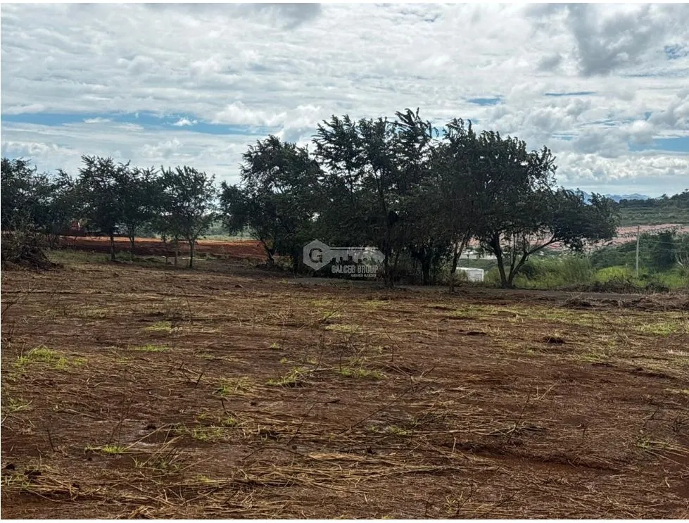 VÍA PUERTO CAIMITO / CHORRERA / 54000M / PARA DESARROLLO INMOBILIARIO