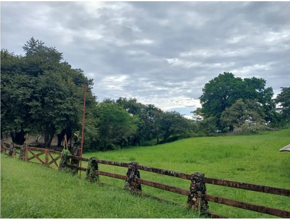Building Lot for sale in San Carlos