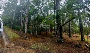 Building Lot for sale in Cerro Azul