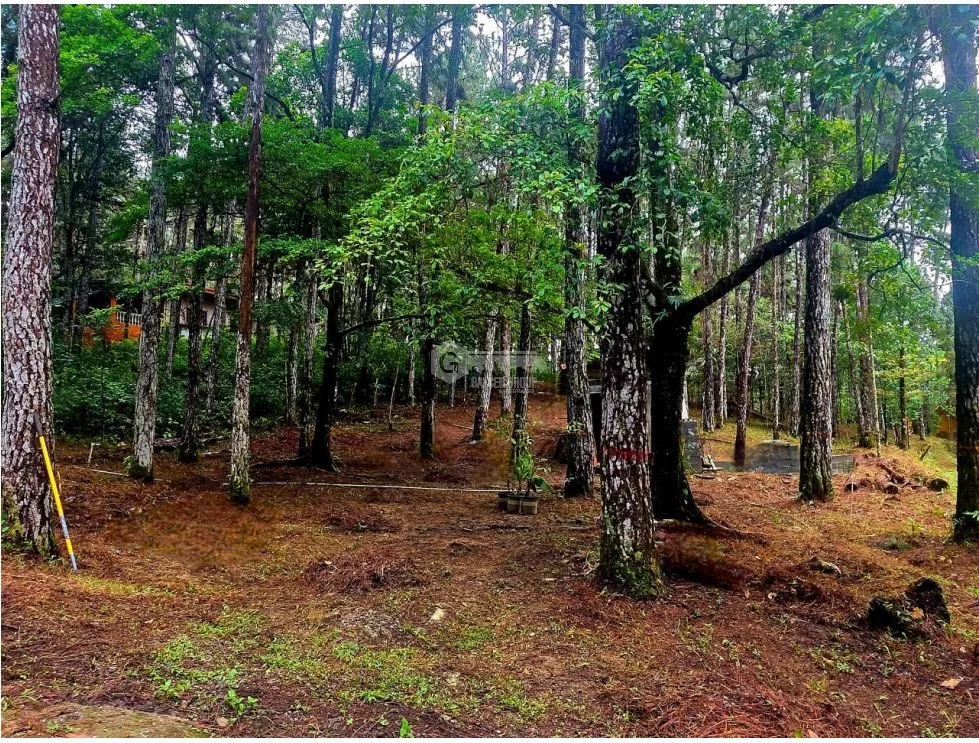 Building Lot for sale in Cerro Azul