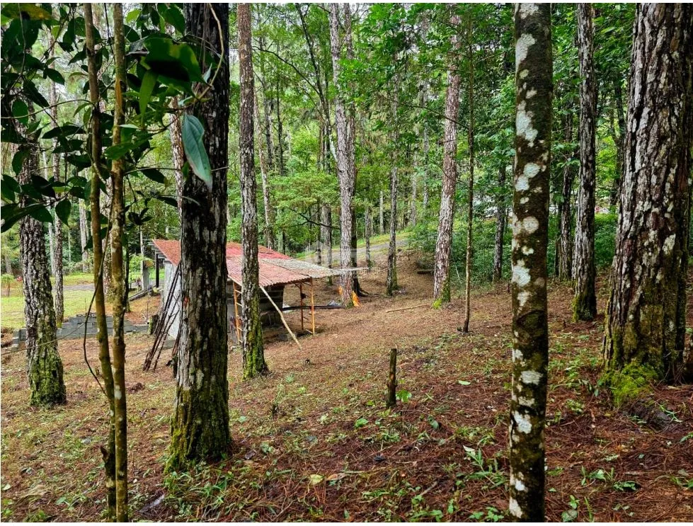 Building Lot for sale in Cerro Azul