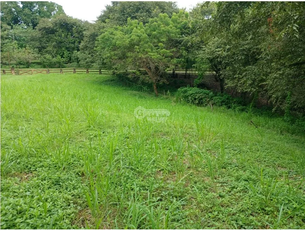 Building Lot for sale in San Carlos