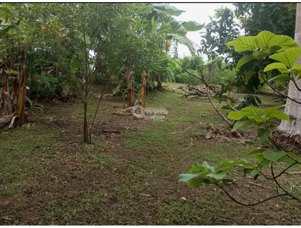 Maison unifamiliale à Chame à vendre