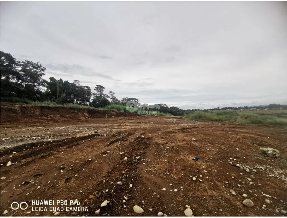 LAND / BOQUETE / BAJO JARAMILLO / 3.3 HECTARES / FOR DEVELOPMENT