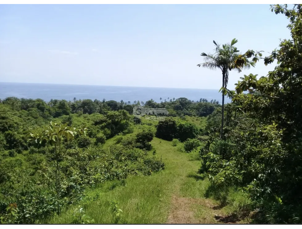 COLON / PLAYA CHIQUITA / 100 HECTAREAS / PARA DESARROLLO FRENTE AL MAR