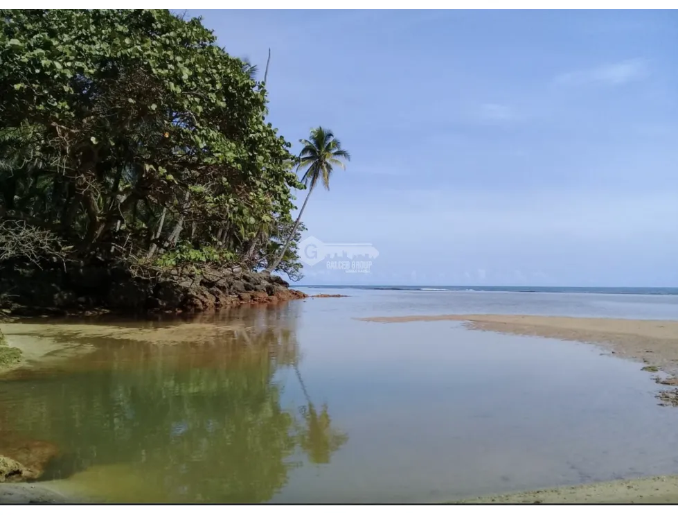 COLON / PLAYA CHIQUITA / 100 HECTAREAS / PARA DESARROLLO FRENTE AL MAR