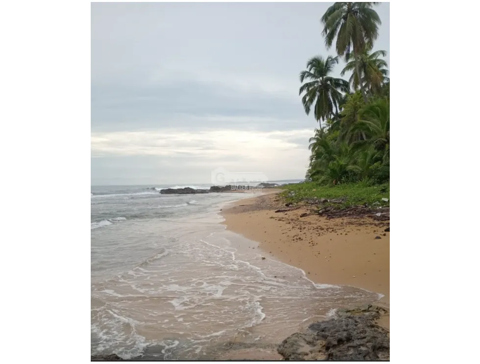 COLON / PLAYA CHIQUITA / 100 HECTAREAS / PARA DESARROLLO FRENTE AL MAR