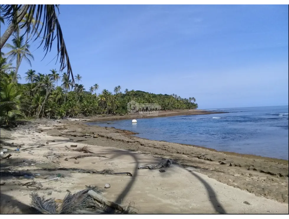 COLON / PLAYA CHIQUITA / 100 HECTAREAS / PARA DESARROLLO FRENTE AL MAR