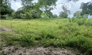 Building Lot for sale in Chame