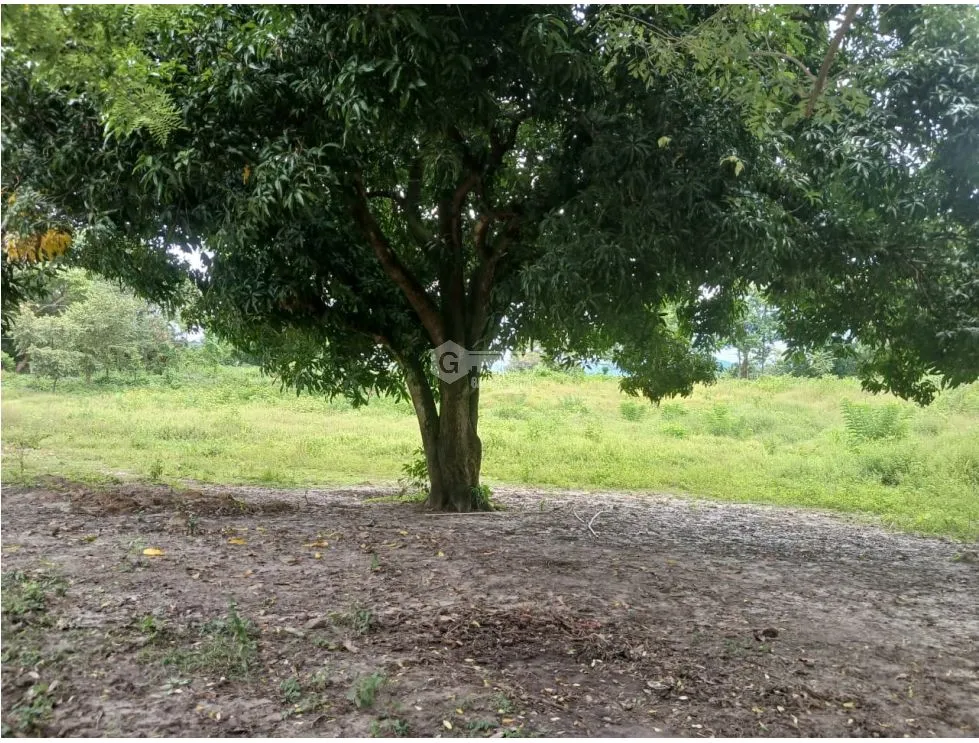 Building Lot for sale in Chame