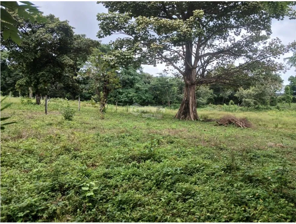 Building Lot for sale in Chame