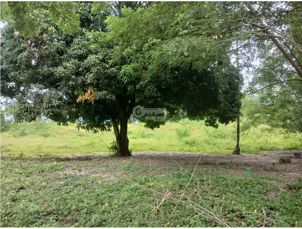 Building Lot for sale in Chame
