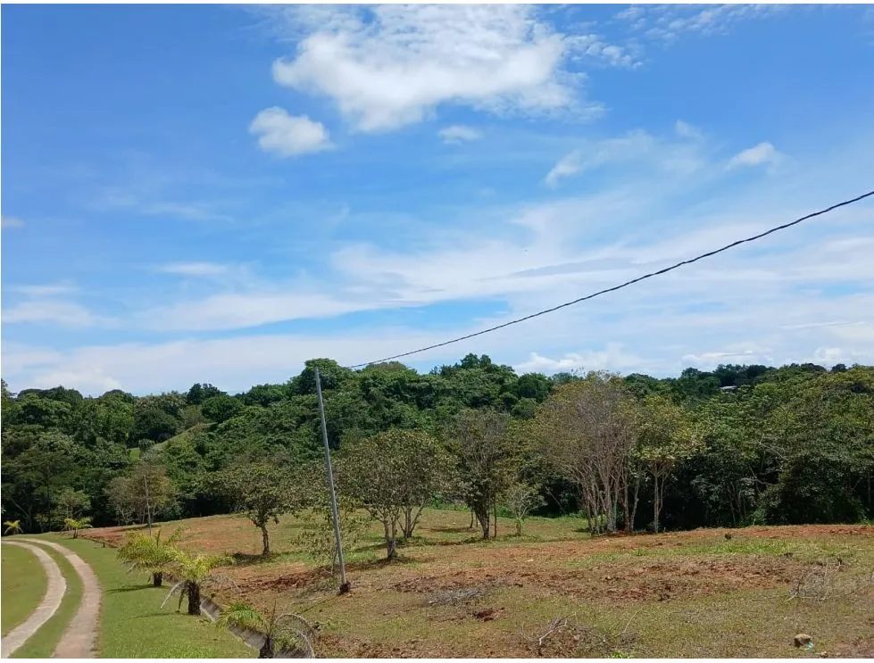 EL COPECITO / SAN CARLOS / 1089 M / OCEAN VIEW / AG