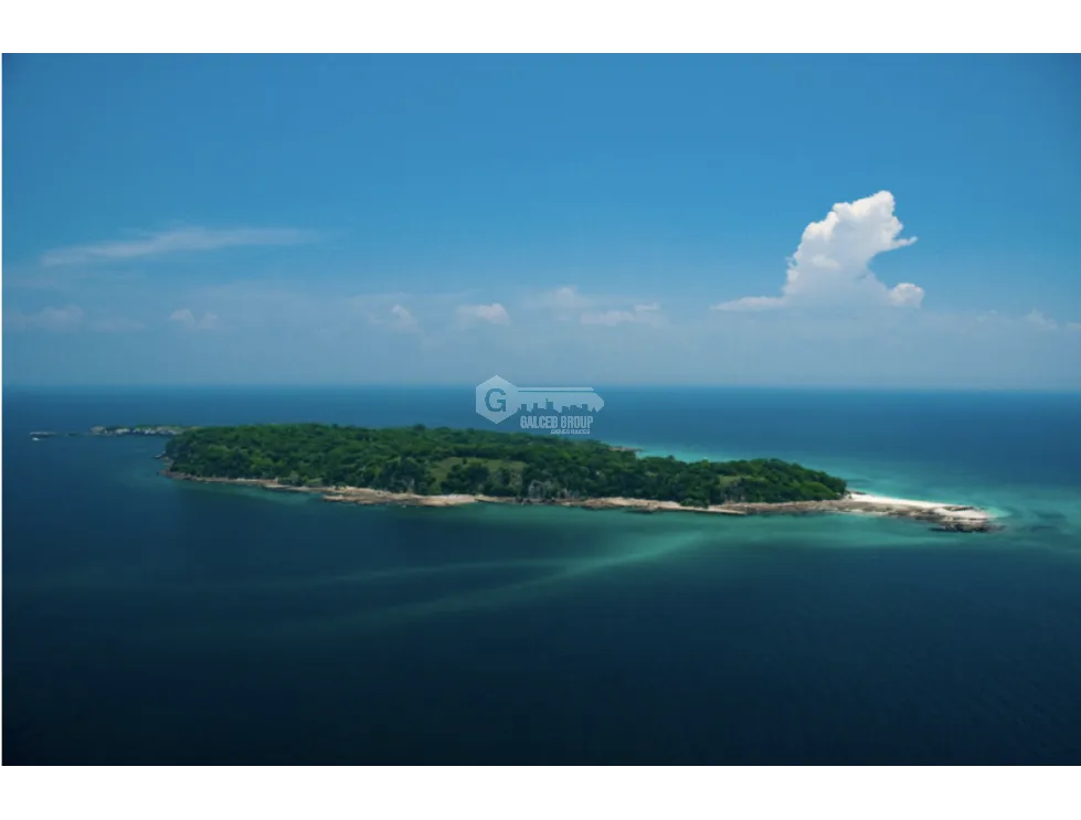 FORECLOSURE / COMPLETE ISLAND / PEARL ARCHIPELAGO / 17 HECTARES