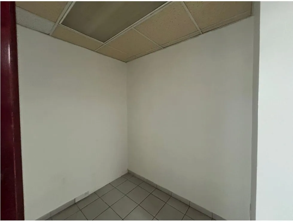 Office for rent in Obarrio