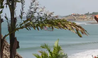 建筑很多 在 Coronado 出售