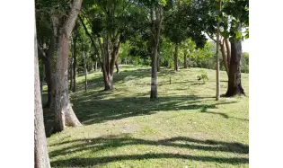 Building Lot for sale in San Carlos