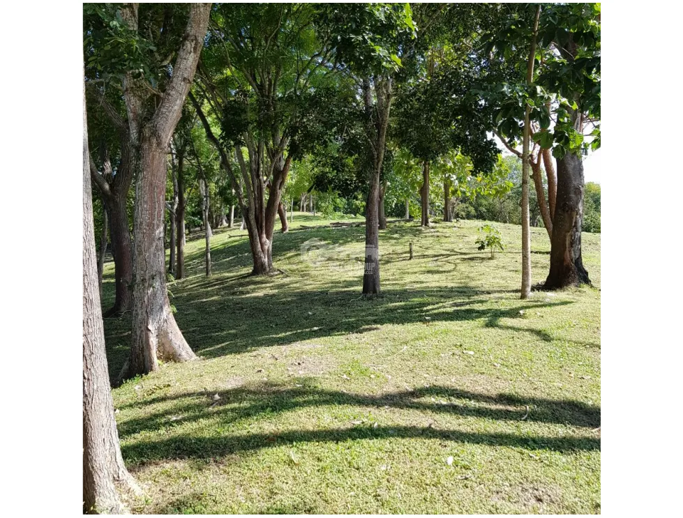 Building Lot for sale in San Carlos