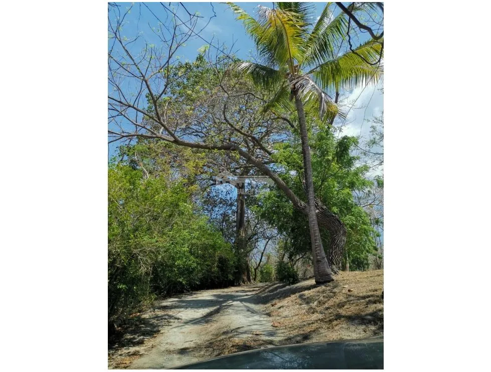 Building Lot for sale in San Carlos