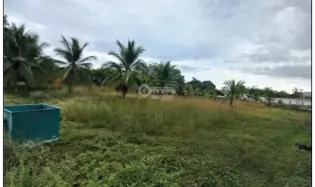 土地 农场 在 Costa Esmeralda 出售