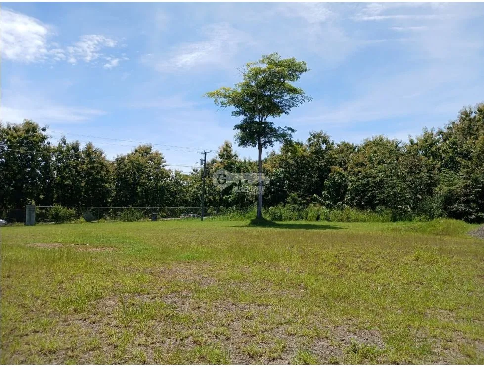 Building Lot for sale in San Carlos