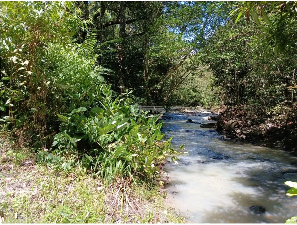 Building Lot for sale in San Carlos