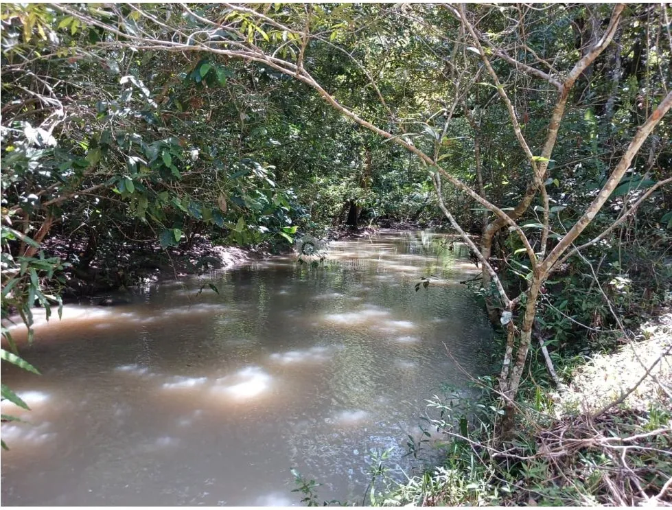 Building Lot for sale in San Carlos