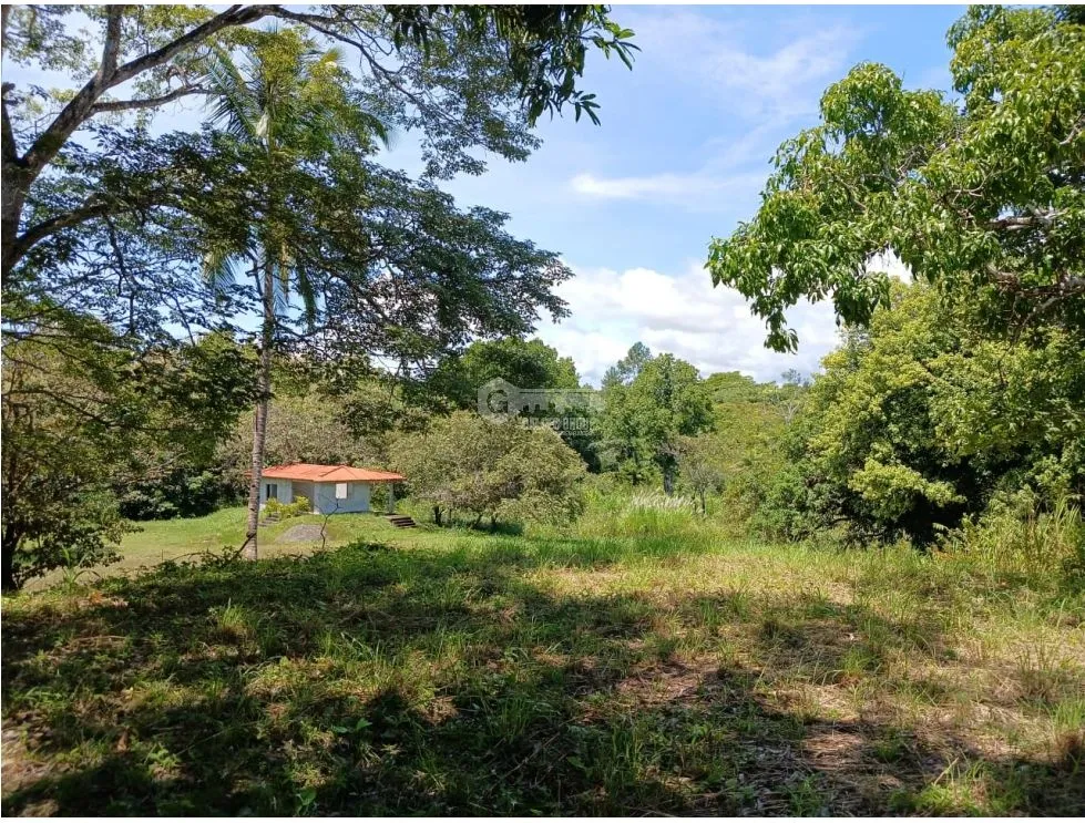 Building Lot for sale in San Carlos