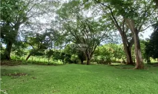 Building Lot for sale in San Carlos