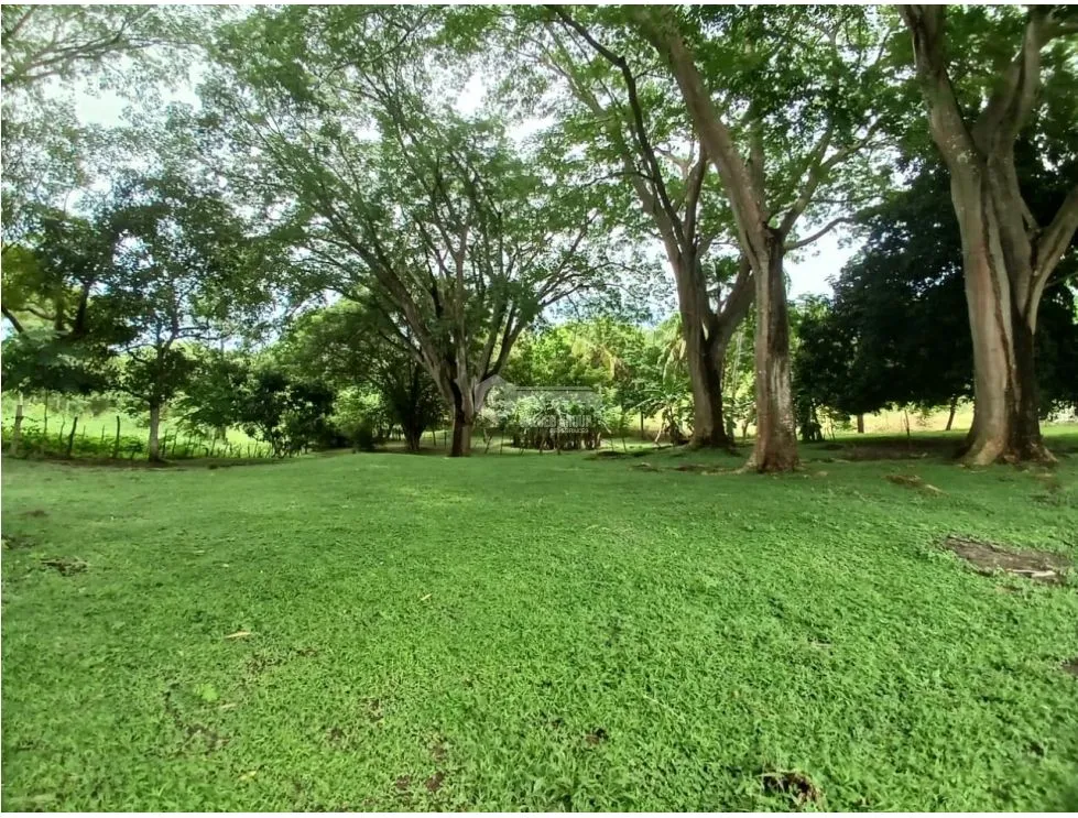 Building Lot for sale in San Carlos