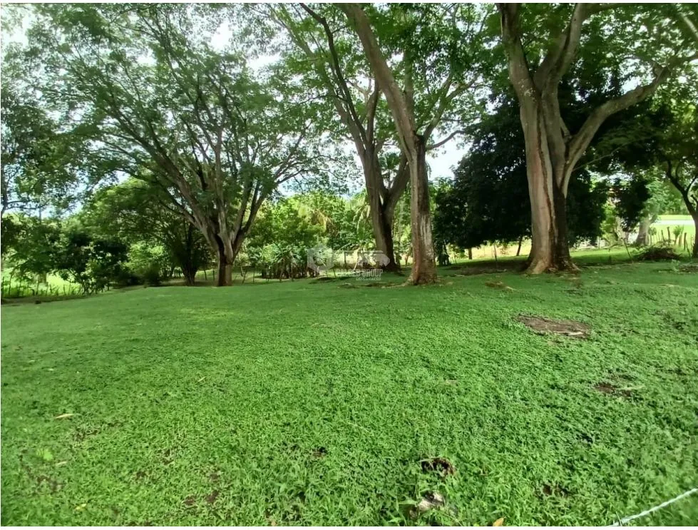 Building Lot for sale in San Carlos