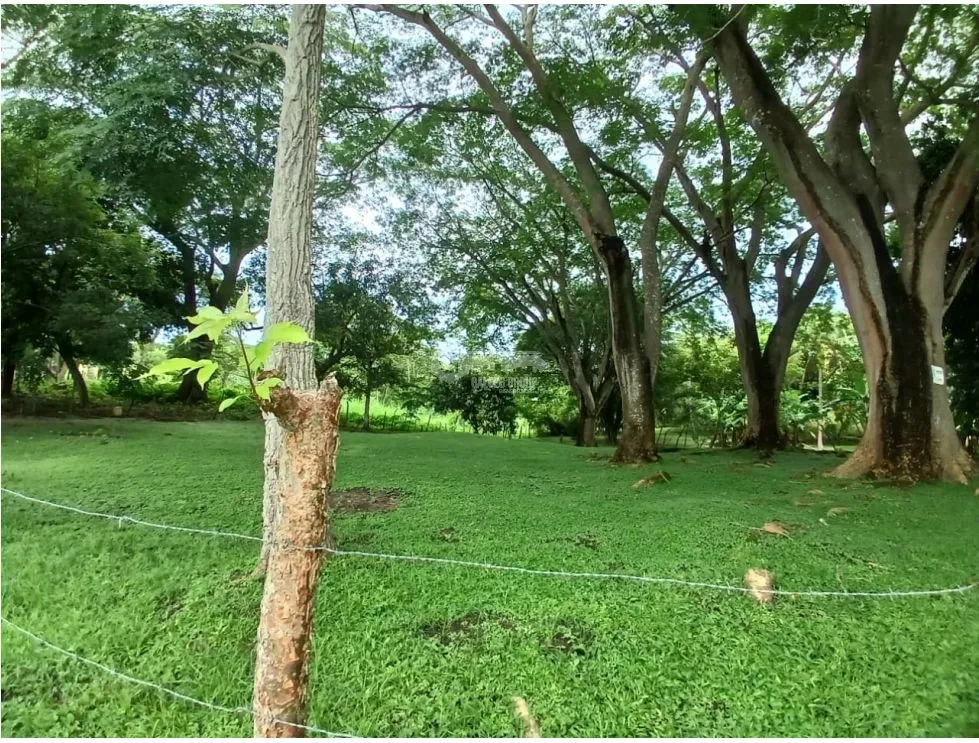 Building Lot for sale in San Carlos