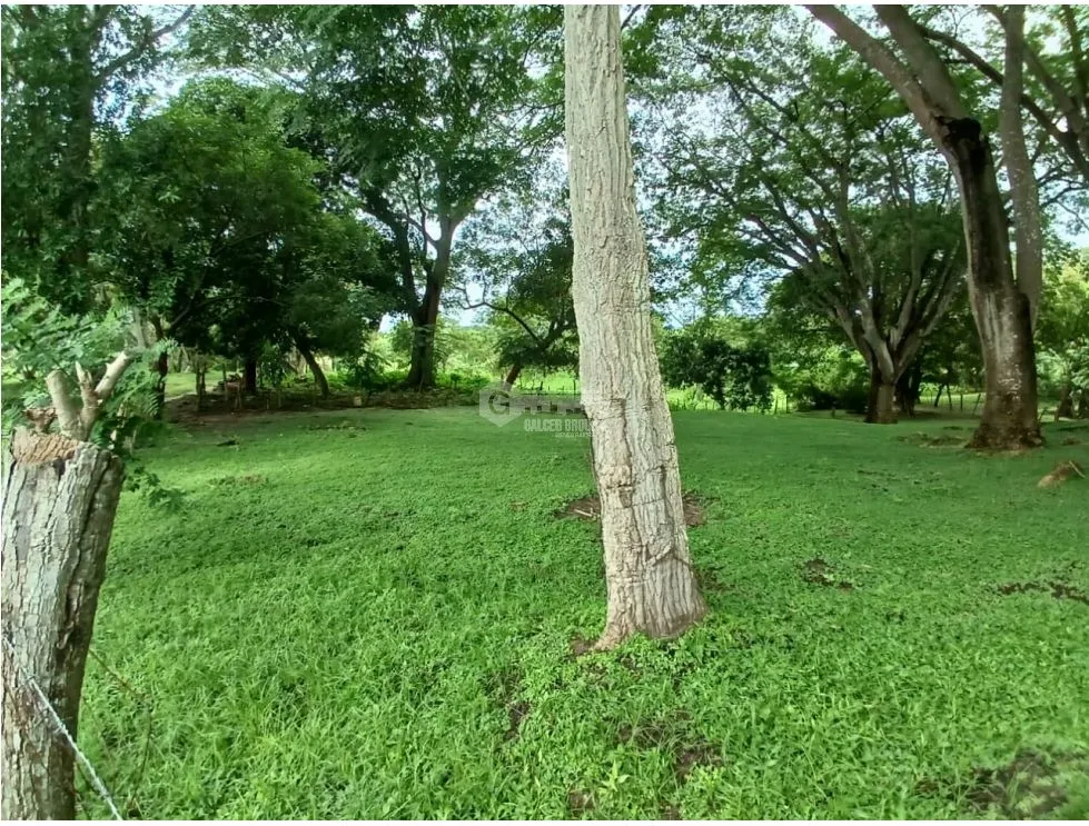 Building Lot for sale in San Carlos