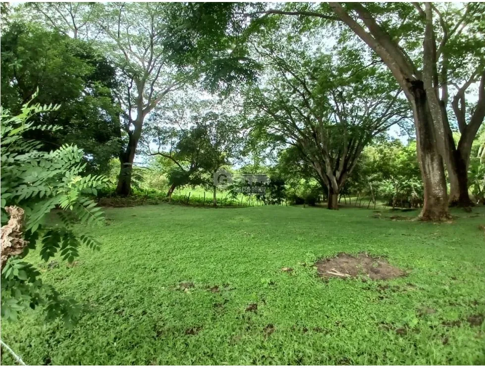 Building Lot for sale in San Carlos
