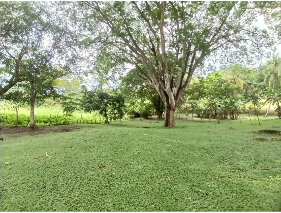 Building Lot for sale in San Carlos