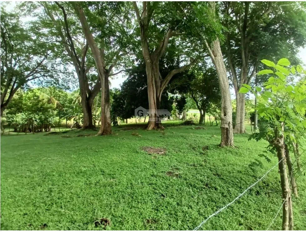 Building Lot for sale in San Carlos