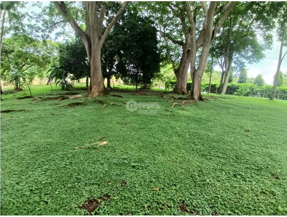 Building Lot for sale in San Carlos