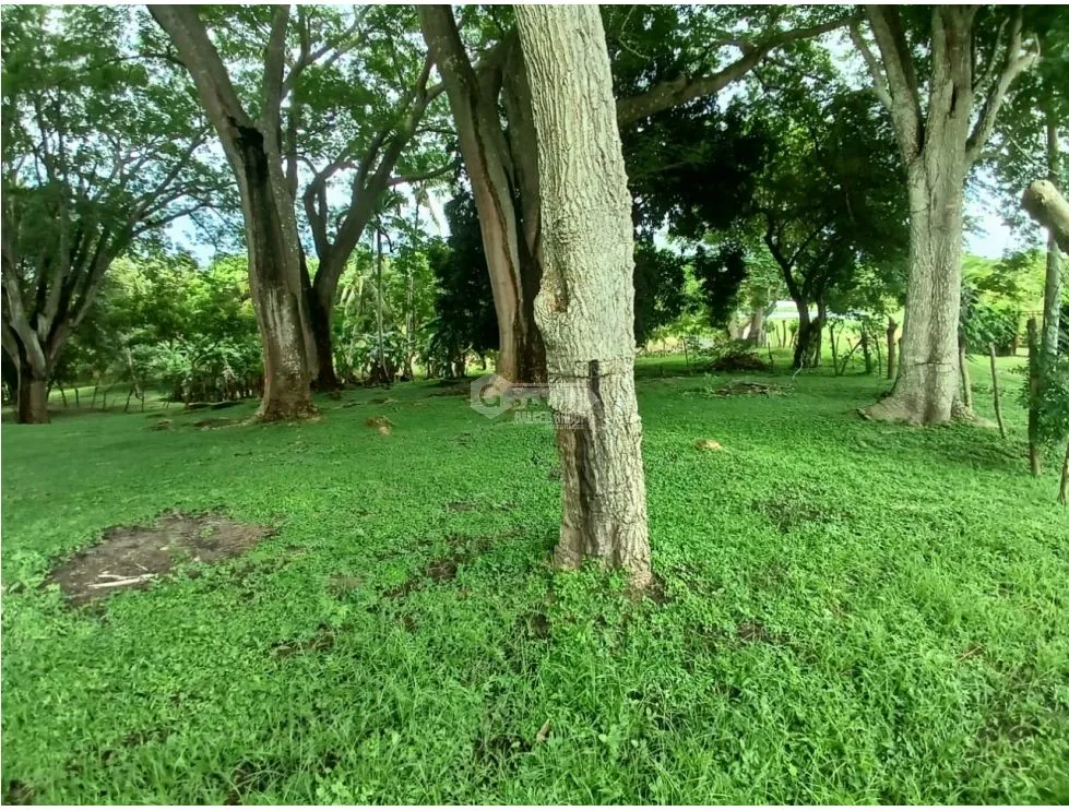 Building Lot for sale in San Carlos