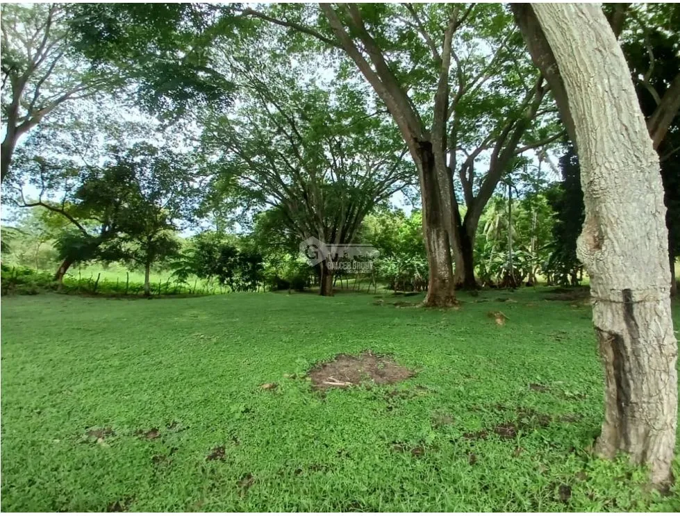 Building Lot for sale in San Carlos