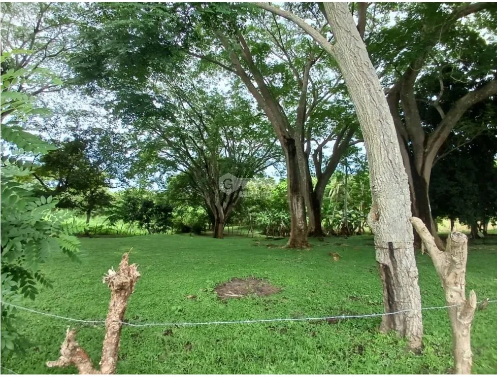 Building Lot for sale in San Carlos
