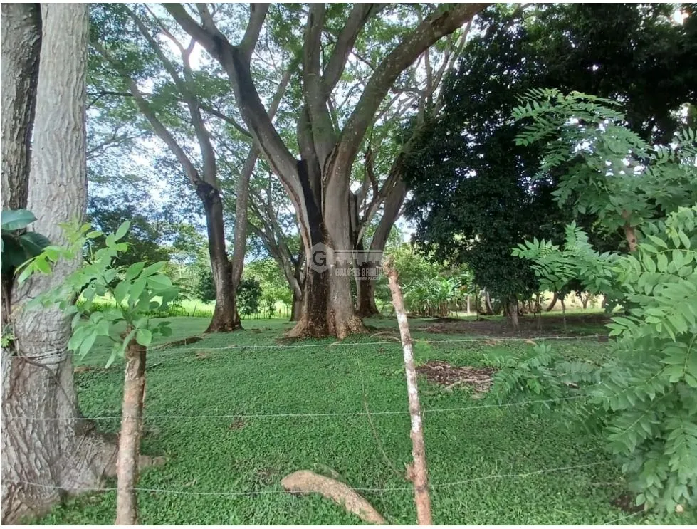 Building Lot for sale in San Carlos
