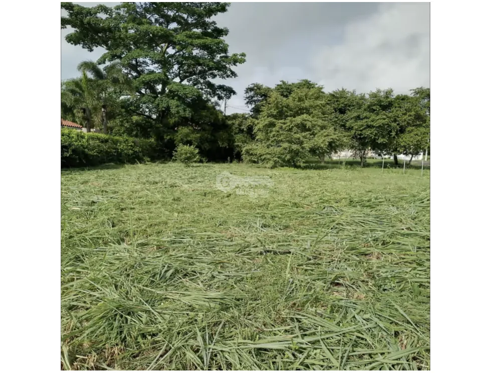 Building Lot for sale in Coronado