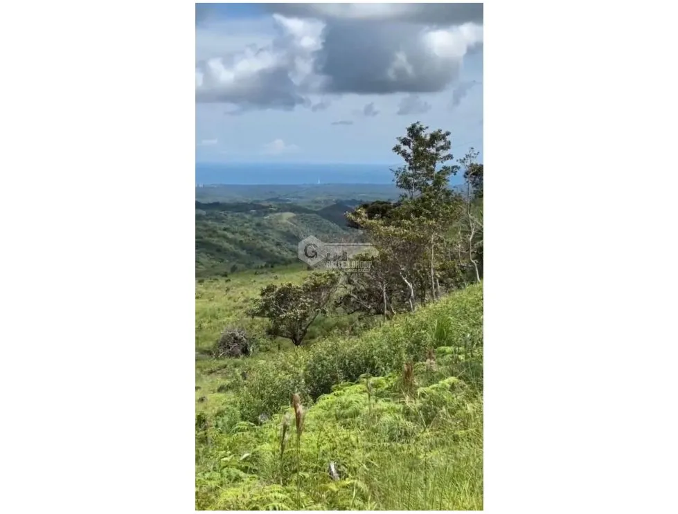 Terrain à bâtir à San Carlos à vendre