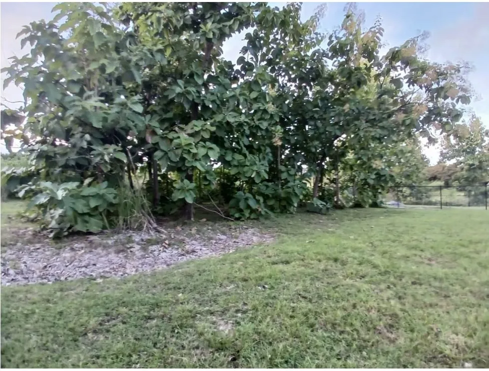 Building Lot for sale in Costa Esmeralda