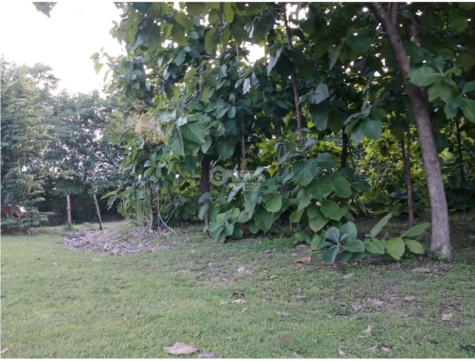 Building Lot for sale in Costa Esmeralda