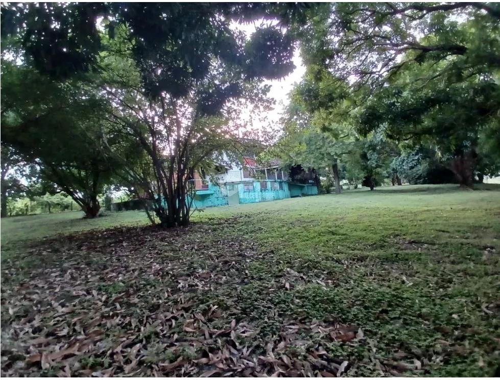 建筑很多 在 Costa Esmeralda 出售