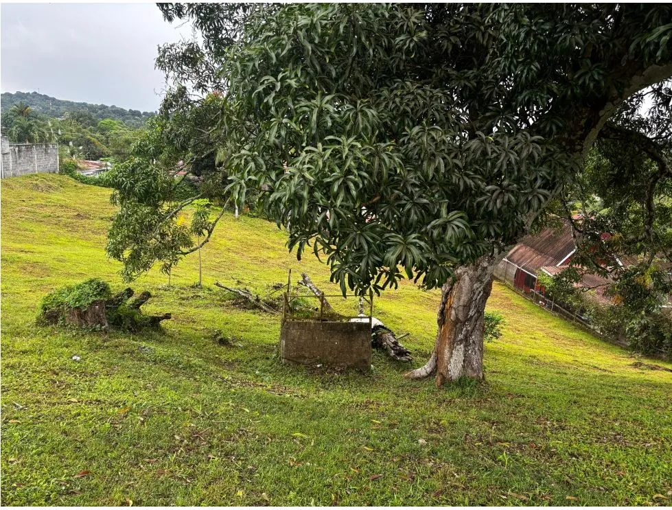 建筑很多 在 Villa Zaita 出售