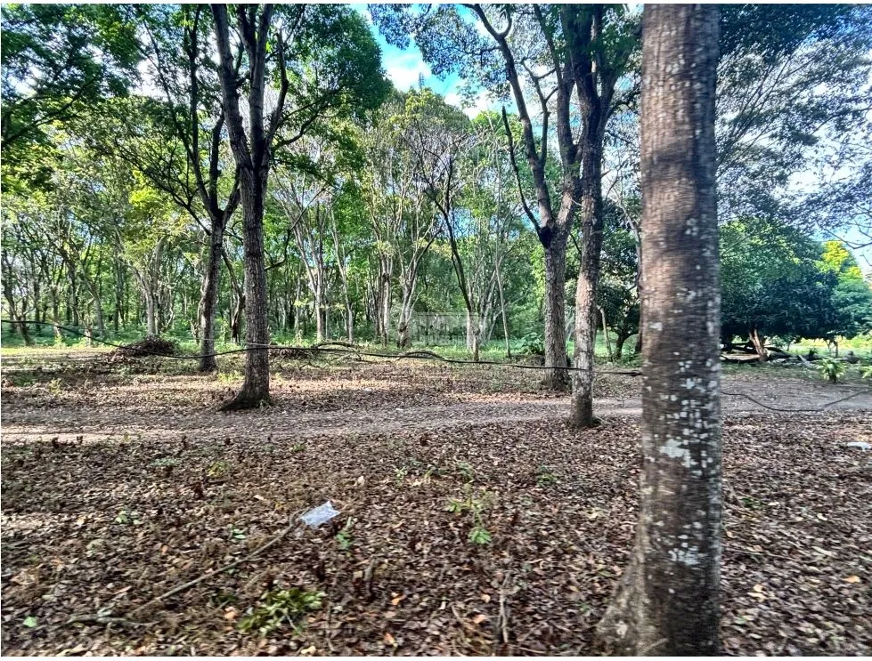Building Lot for sale in Chame